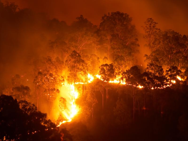 Bushfire burning